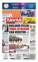 TAVAS BARIŞ